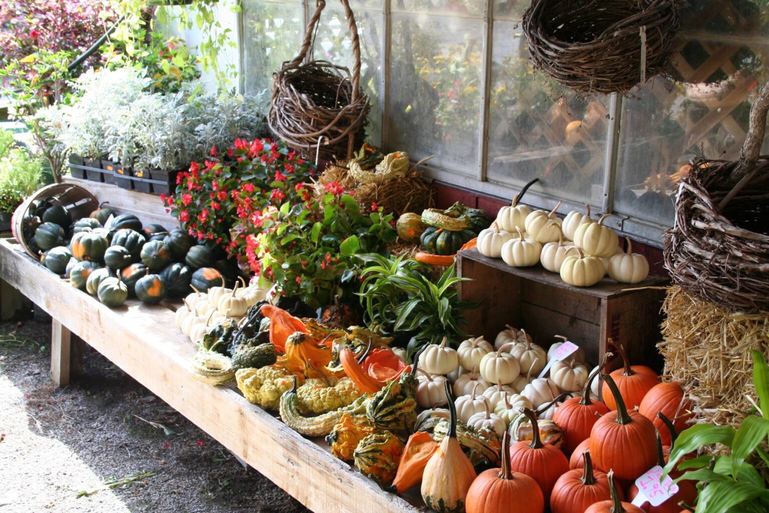 Chadds Ford Greenhouses