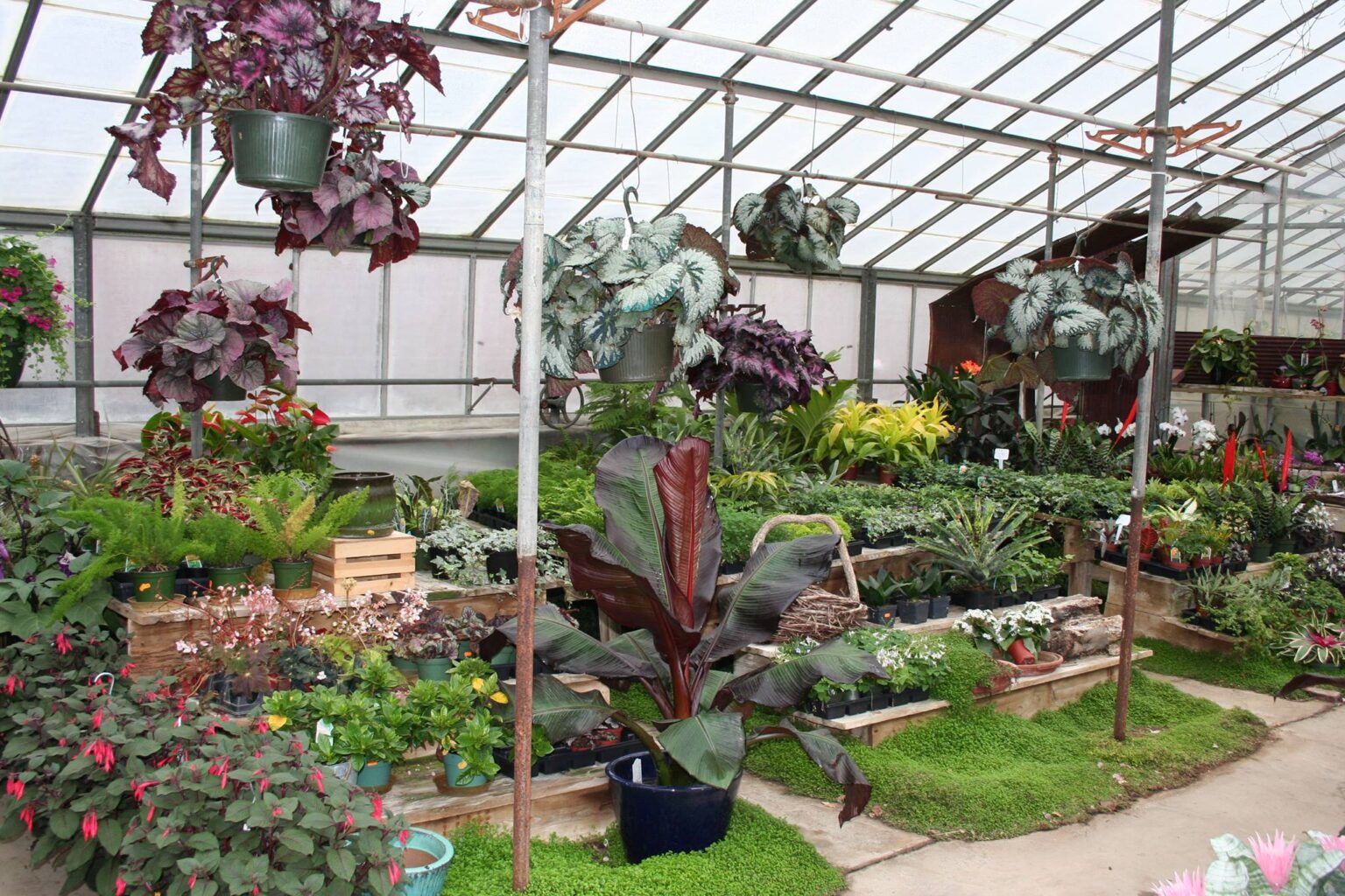 Chadds Ford Greenhouses